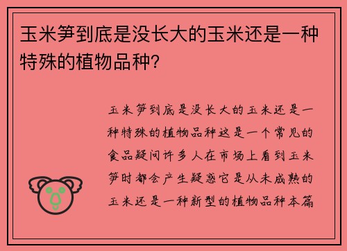 玉米笋到底是没长大的玉米还是一种特殊的植物品种？
